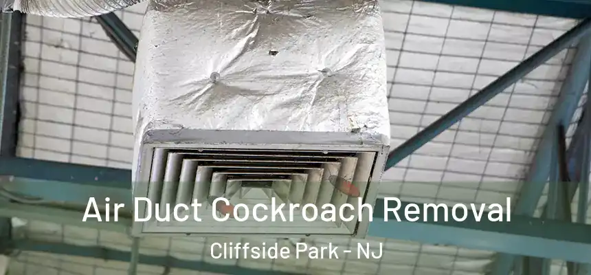 Air Duct Cockroach Removal Cliffside Park - NJ