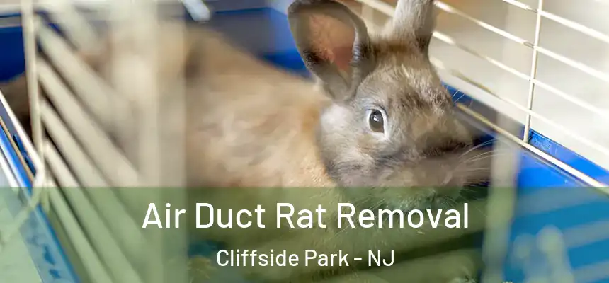  Air Duct Rat Removal Cliffside Park - NJ