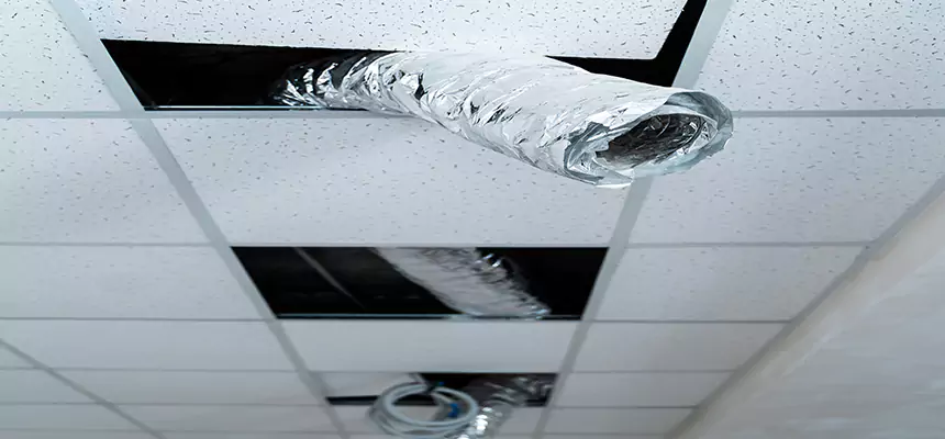 Our Air Duct Pet Hair Removal Services in Cliffside Park, NJ