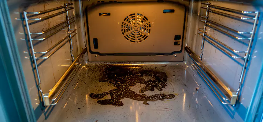 Our Dryer Vent Mold Cleaning Services in Cliffside Park, NJ