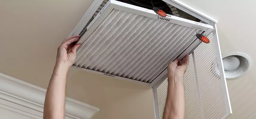 Our Insect Removal from Air Ducts Services in Cliffside Park, NJ