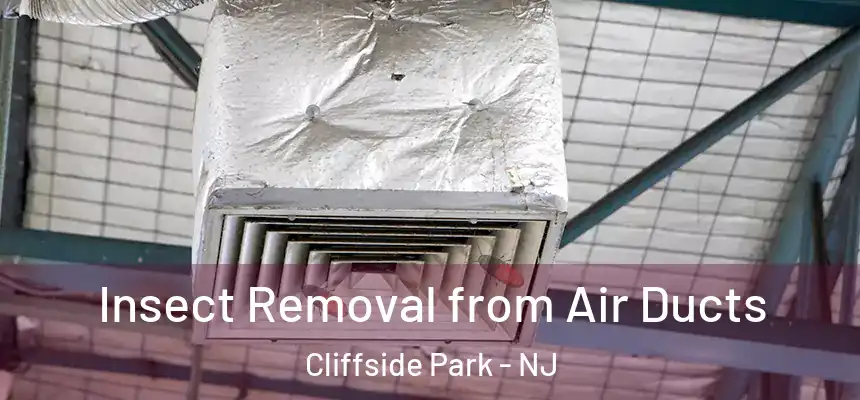 Insect Removal from Air Ducts Cliffside Park - NJ