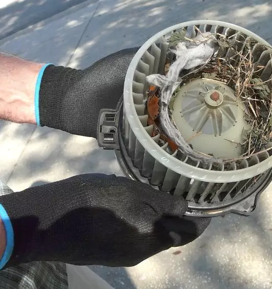 About Air Duct Mice Removal in Cliffside Park, NJ