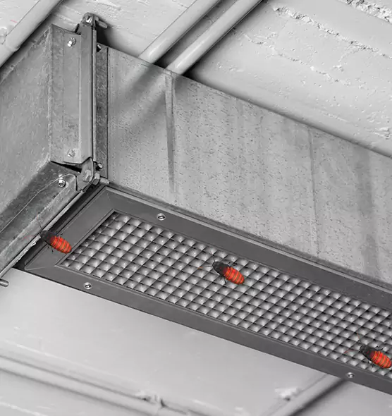 Affordable Insect Removal from Air Ducts in Cliffside Park, NJ