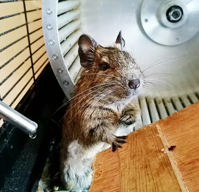 Why Homeowners & Businesses Trust Us Cliffside Park, NJ