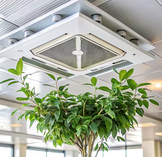 Why Homeowners & Businesses Trust Us in Cliffside Park, NJ?