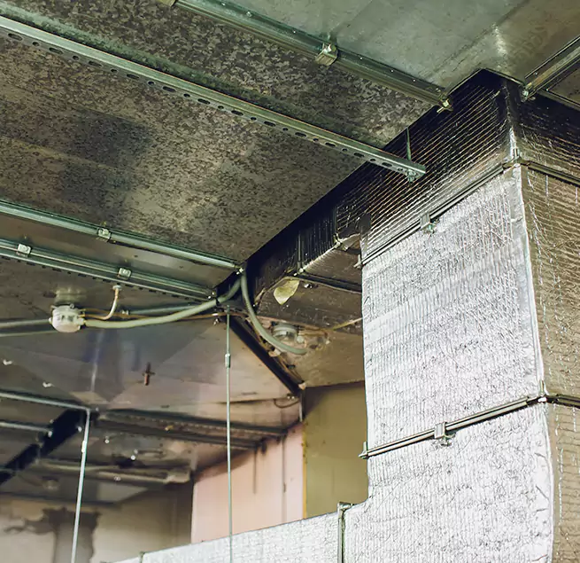 Why Homeowners & Businesses Trust Us in Cliffside Park, NJ?